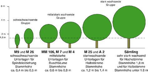 Unterlagen Im Obstbau Bogl