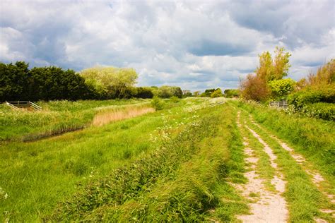 Countryside Trail, Sussex, England Free Stock Photo - Public Domain