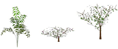 tree cad blocks  dwg models  autocad