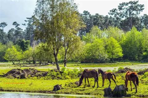 11 Beaux Parcs Nationaux à Visiter En Algérie