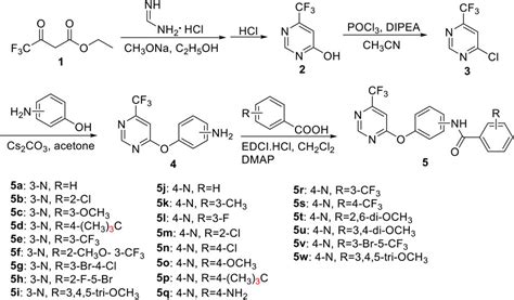 Frontiers Design Synthesis And Bioactivities Of Novel