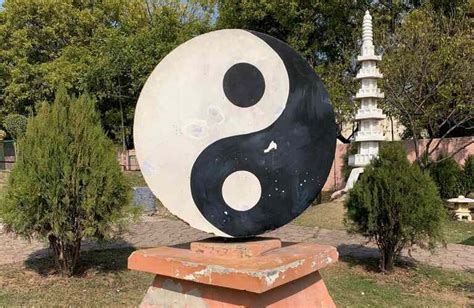 Significado Espiritual De Yin Yang O Que E Quais Influ Ncias