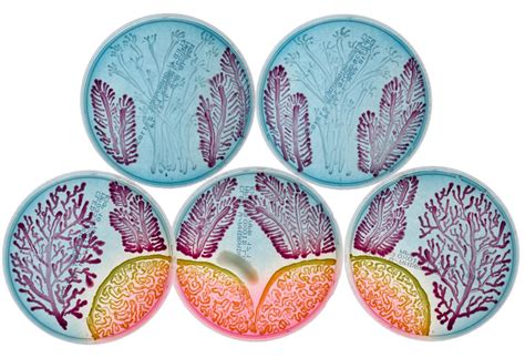 Bacteria Art