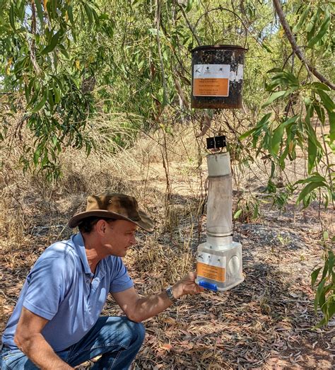 NT - Have you seen our mosquito surveillance traps around the Northern Territory? 🦟 NT Health’s