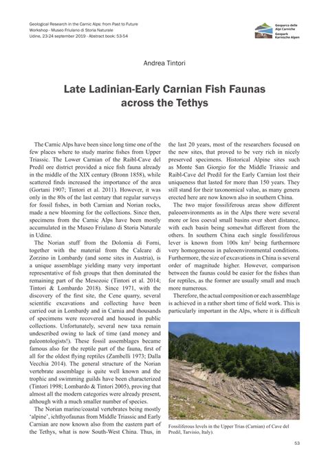 Pdf Late Ladinian Early Carnian Fish Faunas Across The Tethys