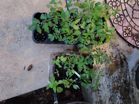 Old School Jams - Old School Jams added a new photo.