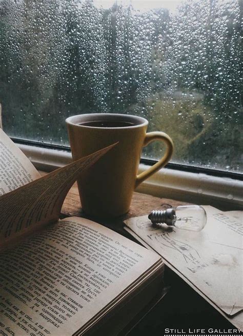 Rainy Day Aesthetic Coffee And Books