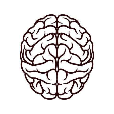 Human Brain Icon Vector Isolated Vector Art At Vecteezy