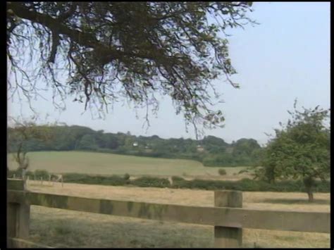 Middle English Documentary Featuring The Late Author Roald Dahl 1989
