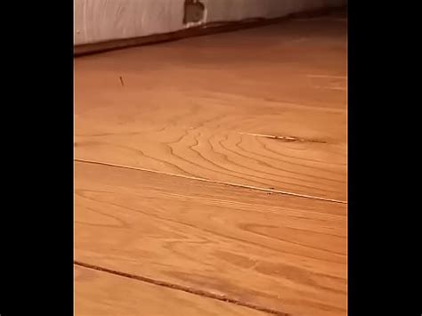 Neighbors Fucking Hot Moaning P Xvideos