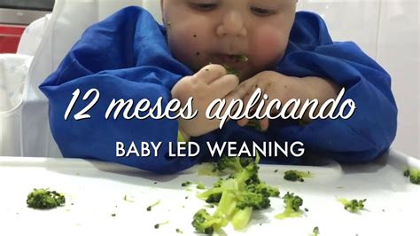 Meses Aplicando El M Todo Baby Led Weaning Youtube