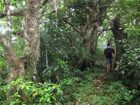 Hiking In Mt Matarem Batanes