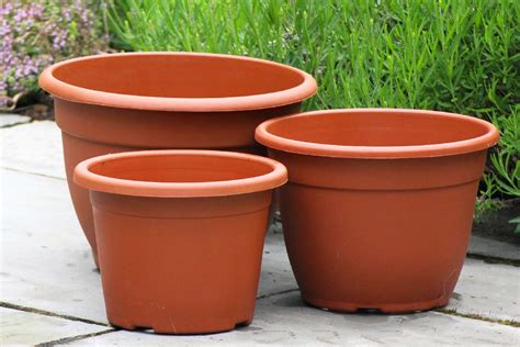 9 Best Paints For Outdoor Pots That Are Plant-Safe