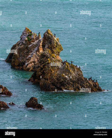 Cliff Walk Howth Stock Photo - Alamy