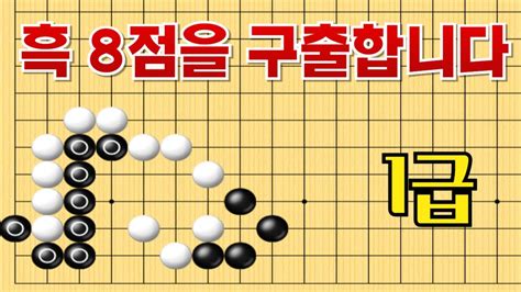 사활 바둑 묘수 당연히 잡힌 줄 알았던 흑 8점을 구출합니다 1급 사활 바둑 사활 바둑강좌 묘수 Youtube