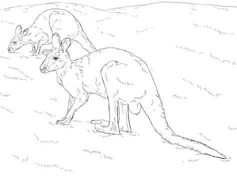 Раскраска мать и ребенок кенгуру 4 - Бесплатнo Pаспечатать или Cкачать ...