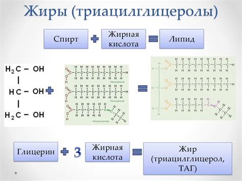 Липиды. Насыщенные и ненасыщенные жирные кислоты - презентация онлайн
