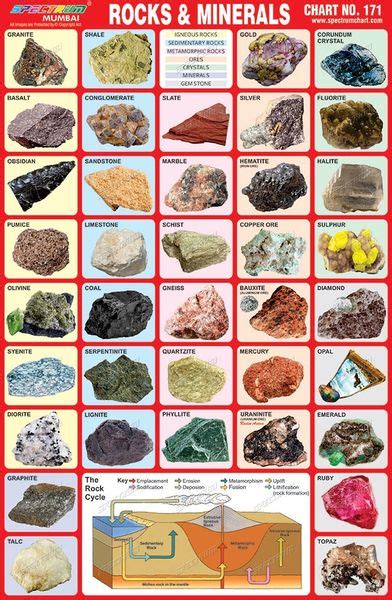 Chart No 171 Rocks Minerals