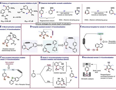 Science综述：芳烃远程csp² H键活化策略 X Mol资讯