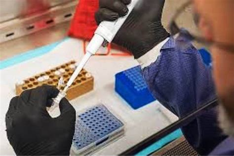 ICMR releases revised testing guidelines - The Live Nagpur