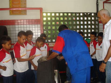 Escola Municipal Professora Belarmina Campos - 6