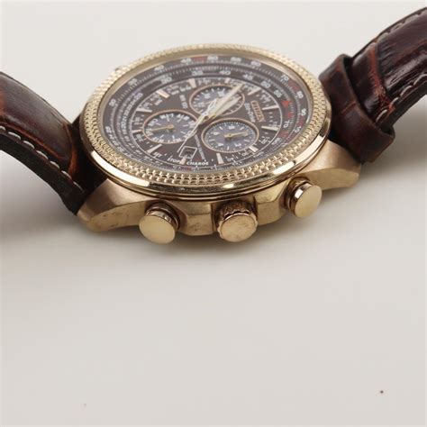 Citizen Eco Drive Perpetual Watch Property Room
