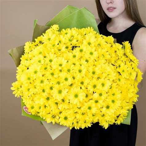 Хризантема кустовая желтая купить с доставкой по цене 3849 ₽ в Нижнем ...