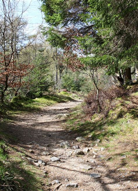 Isle of Arran: Discover Scotland's Natural Beauty, Wildlife, and History