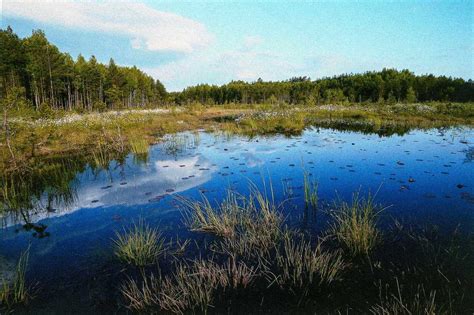 European Wilderness Network - Europe's last Wilderness