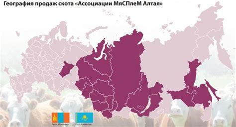 ООО «Колос». ООО "МяСПлеМ" Алтая