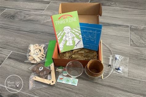 Fun Plant Science Experiments for Kids | Mombrite