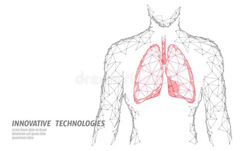 Equipaggi Il Modello Sano Della Medicina Dei Battiti Cardiaci D Della