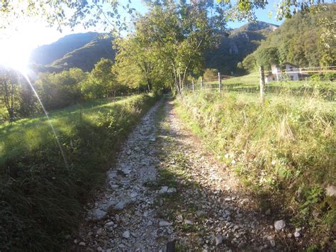 Salita Per San Lorenzo Mountain Biking Trail Alano Di Piave