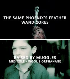 Mister Tom A Dildo Lover Mister Tom A Dildo Lover