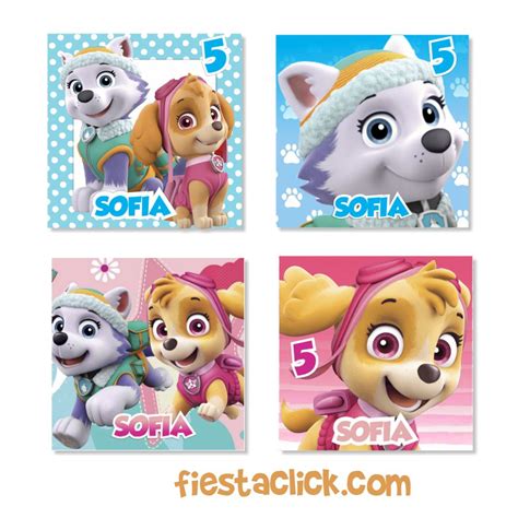 Paw Patrol Skye y Everest Sticker especial (30)