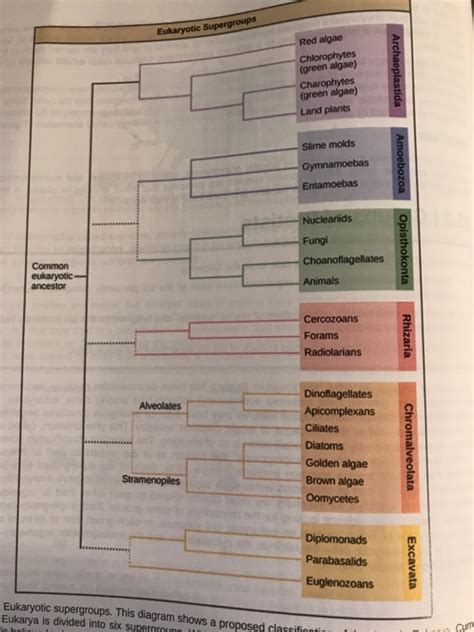 Solved The question is the following: Based on | Chegg.com