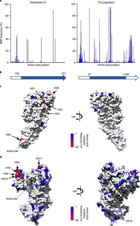 Global Amino Acid Variation Mapped Onto The Protein Crystal Structure