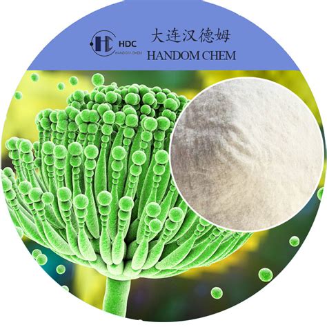 Aspergillus Niger Chitosan Hydrochloride