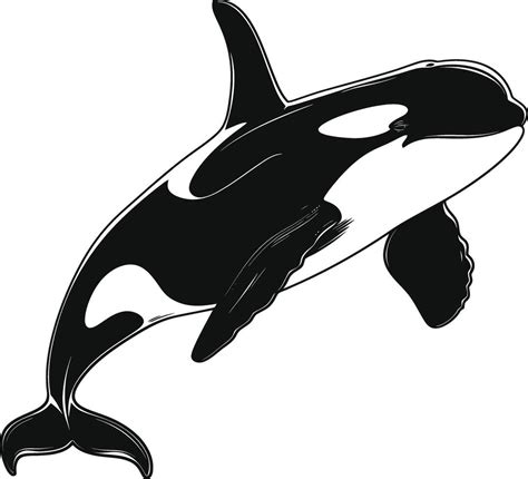 Ai Generated Silhouette The Orca Or Killer Whale Black Color Only