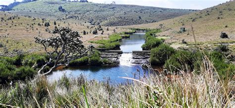 Horton Plains National Park - Everything You Need To Know!