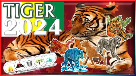 Tiger Horoscope Wood Fire Earth Metal Water Youtube