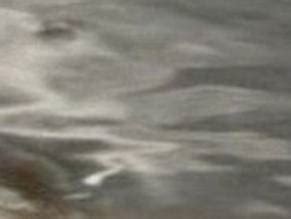 FEVER DREAM NUDE SCENES AZNude