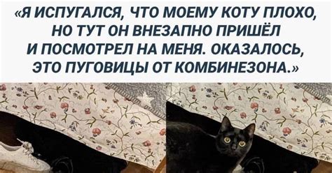 Упрлс Пикабу
