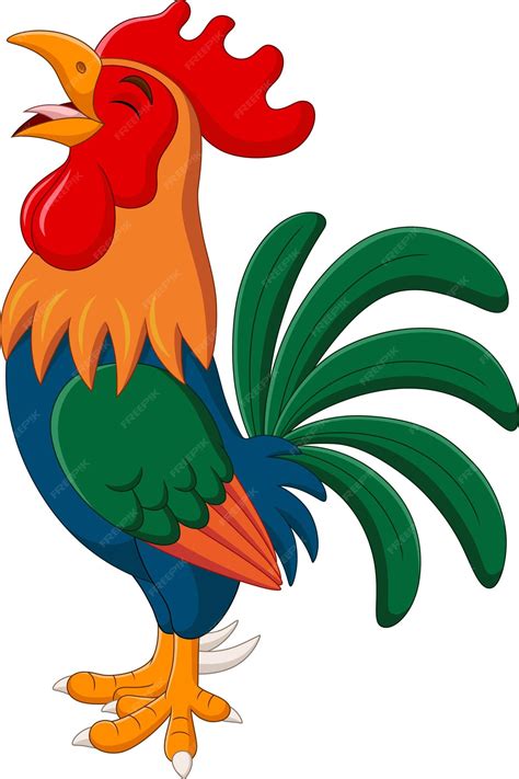 Gallo Cantando Dibujo