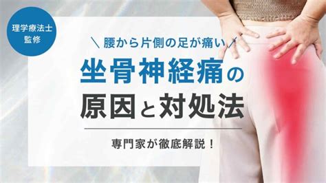 【腰から片側の足にかけての痛み】坐骨神経痛の原因と3つの対処法を専門家が解説！ 株式会社リハサク