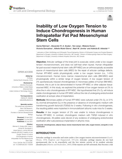 Pdf Inability Of Low Oxygen Tension To Induce Chondrogenesis In Human