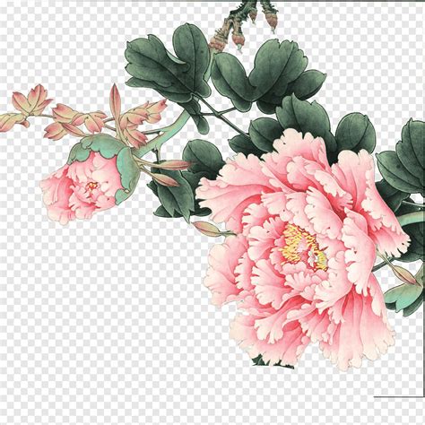 Peony Peony Flowers Pink Png Pngwing