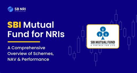 Sbi Mutual Fund For Nris A Comprehensive Overview Of Schemes Nav