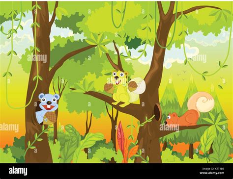 Squirrels In The Jungle Stock Vector Image Art Alamy