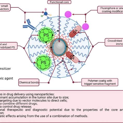 Cytotoxic Agents Used In The Chemotherapy Of Cancer Download